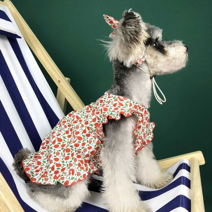 Summer Thin Small Dog Dress & Pet Clothes