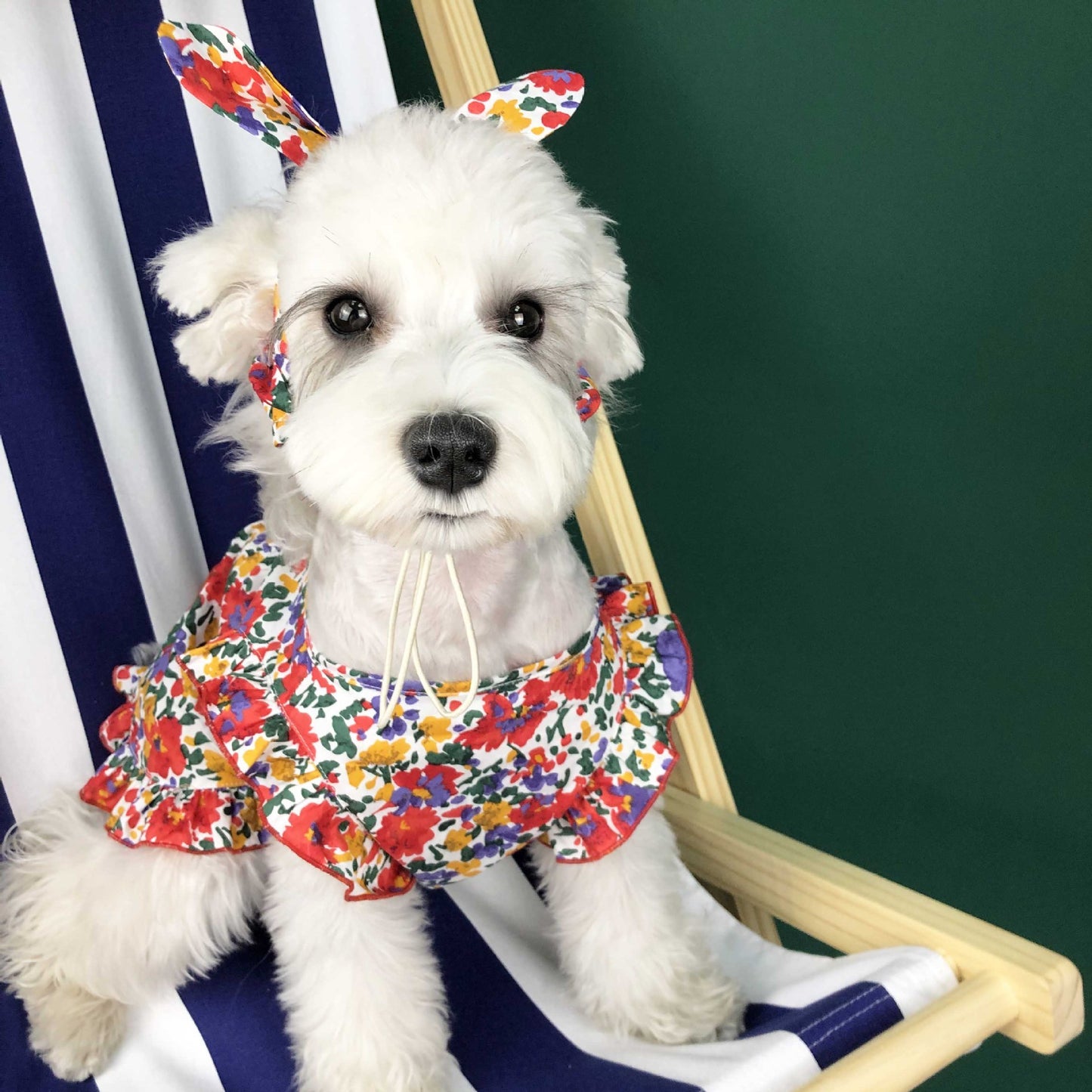 Summer Thin Small Dog Dress & Pet Clothes